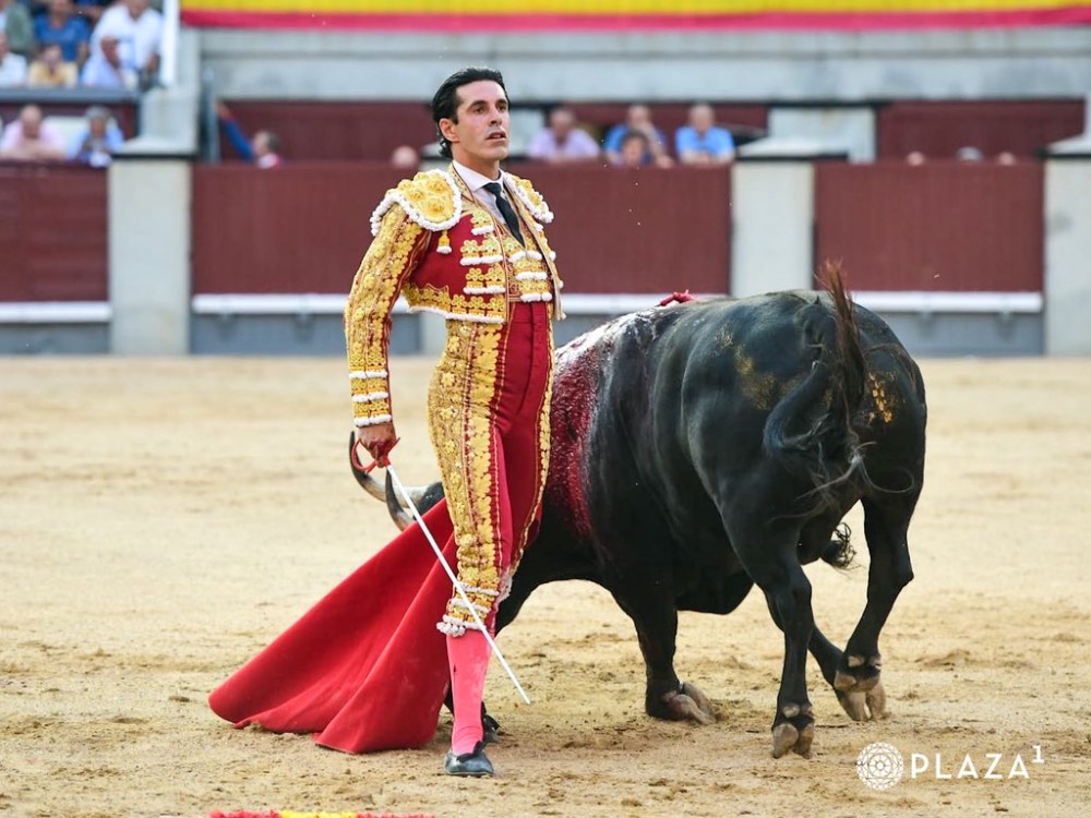 Imagen 15
