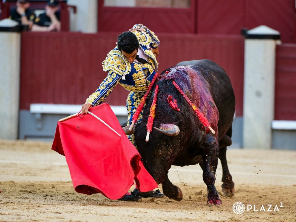 Imagen 12