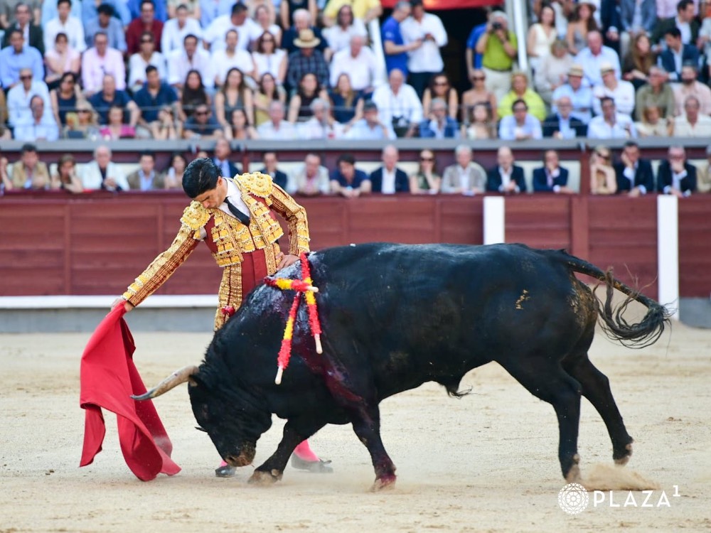 Imagen 9