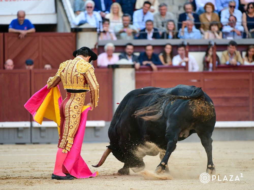 Imagen 10