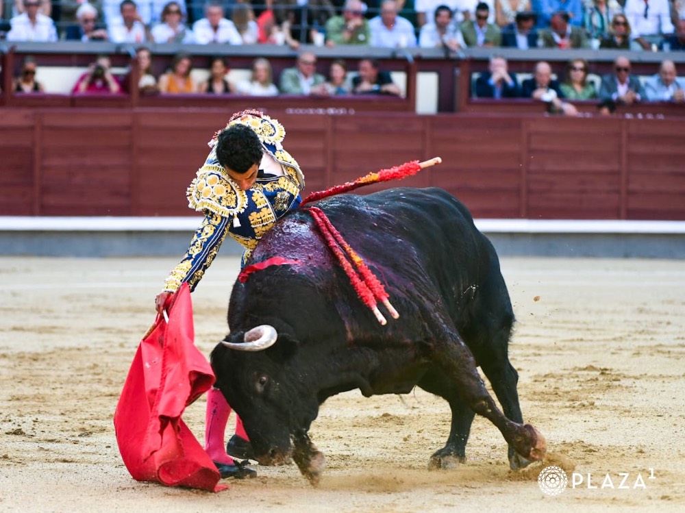 Imagen 4