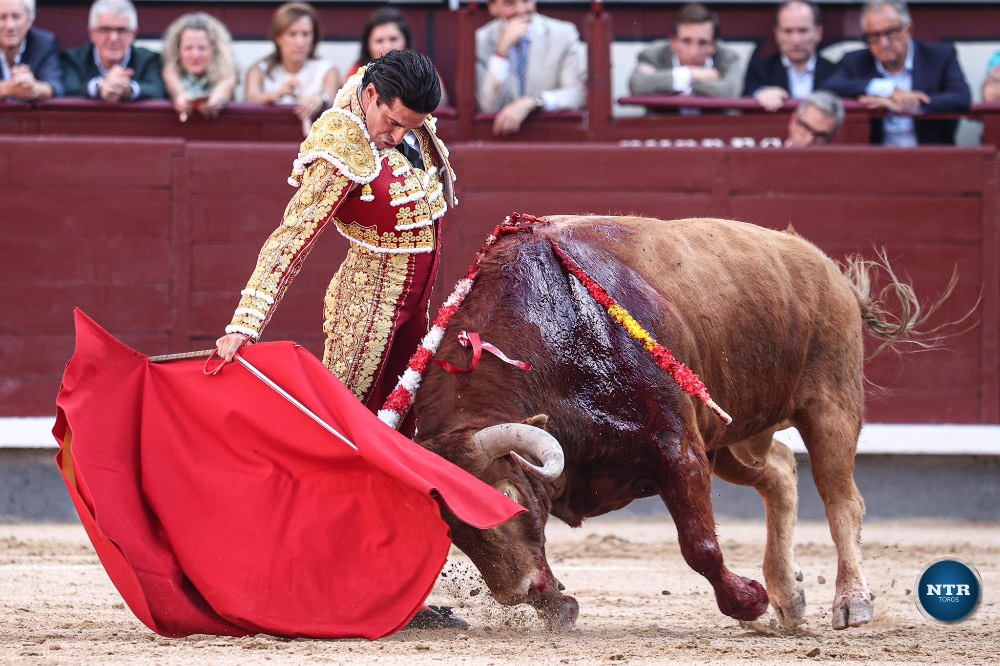 Imagen 7
