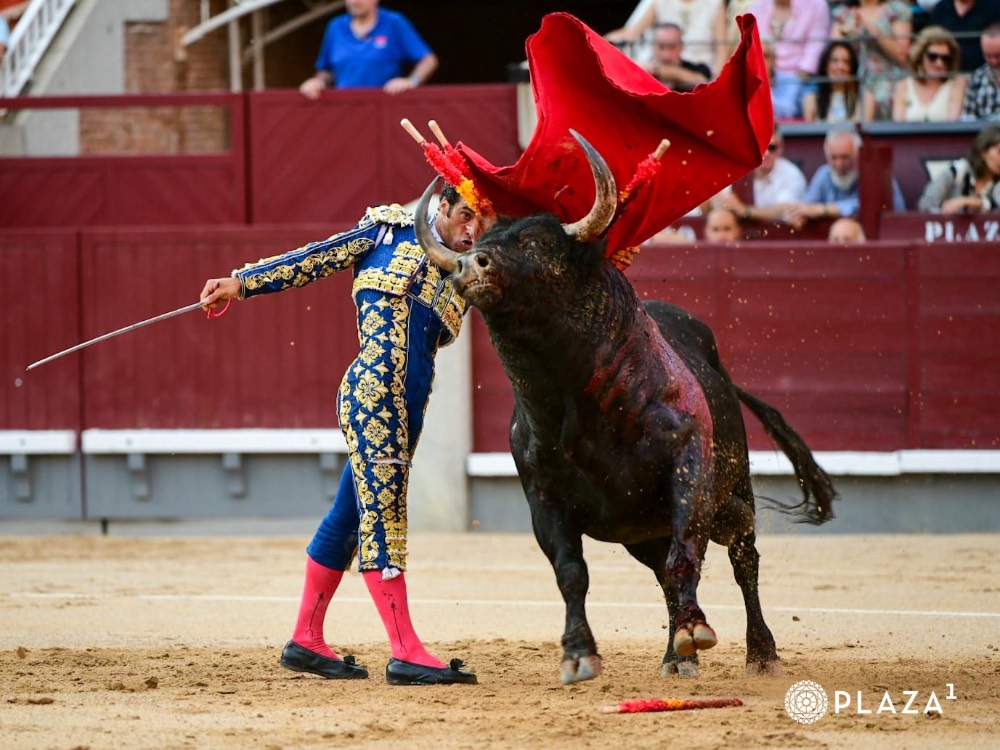 Imagen 13