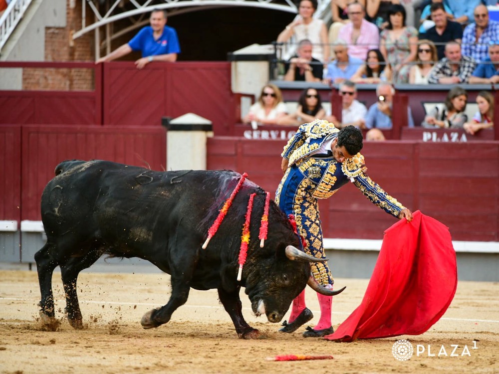 Imagen 11