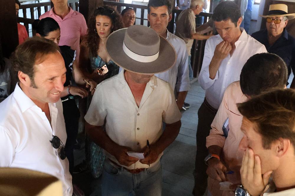 Imagen 8
