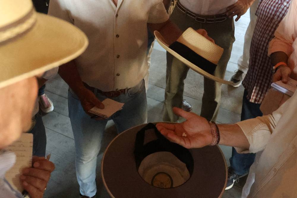 Imagen 13