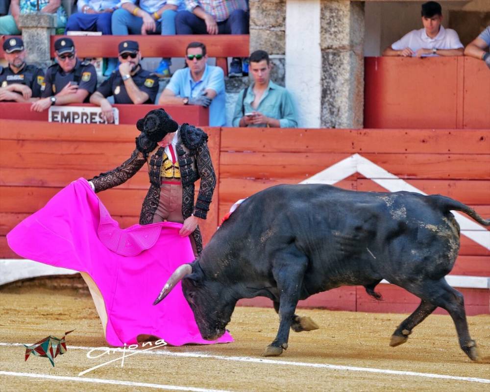 Imagen 7