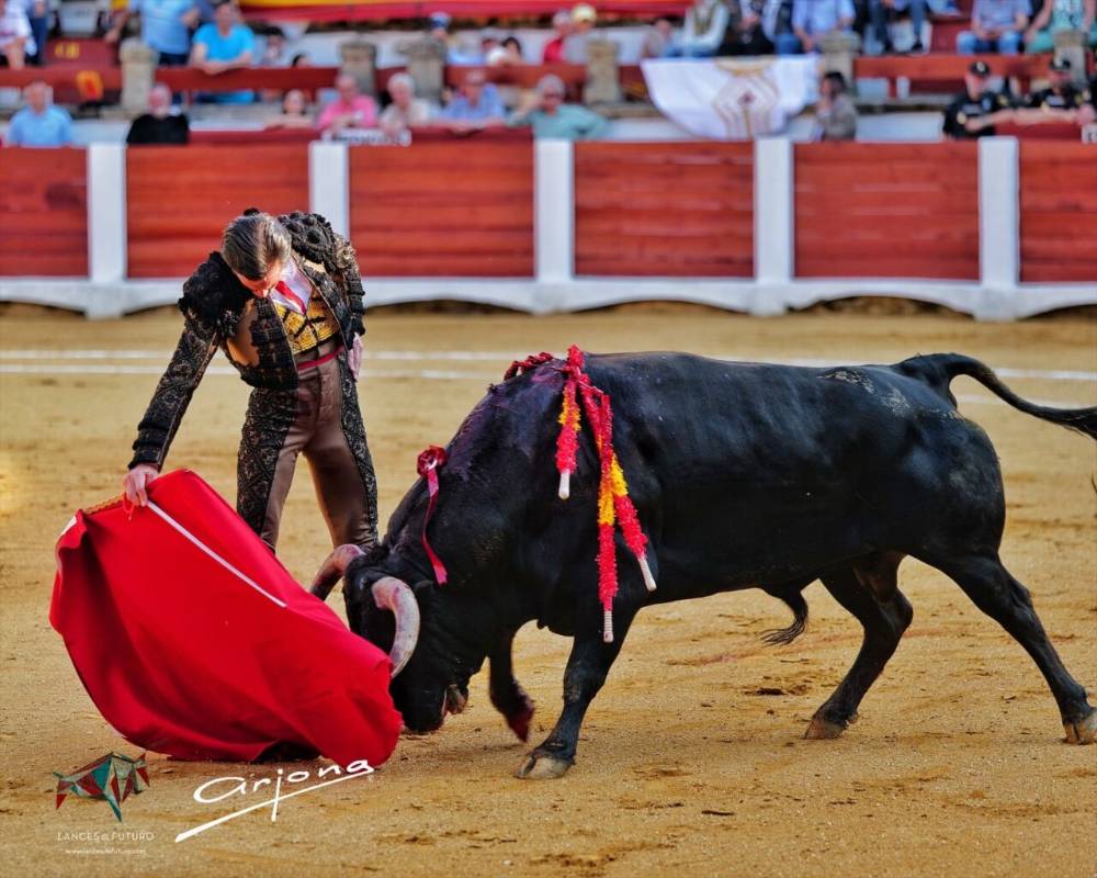 Imagen 6