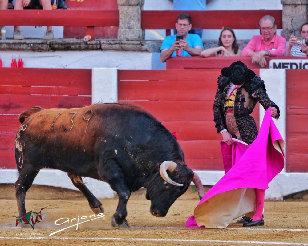 Imagen 14