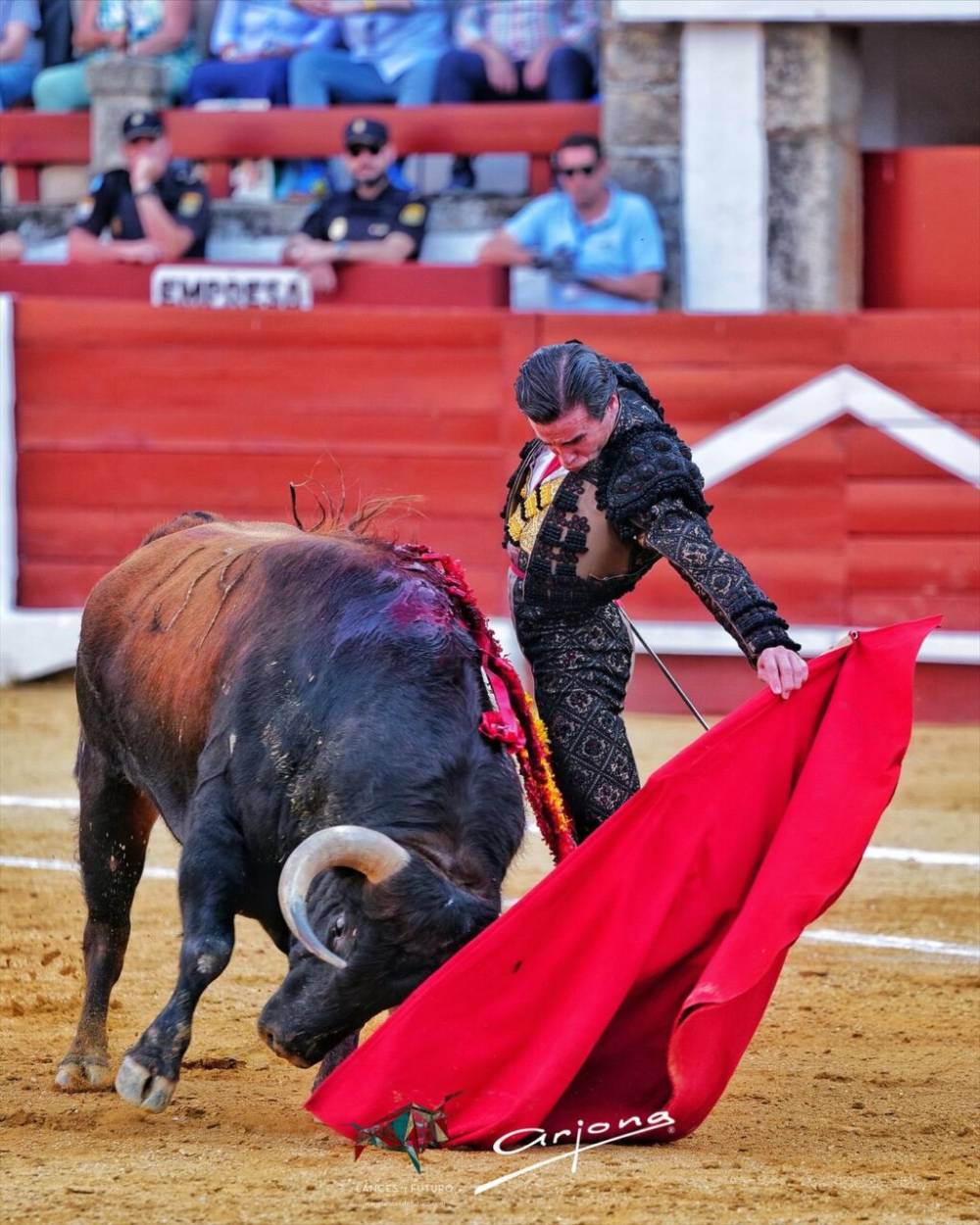 Imagen 19