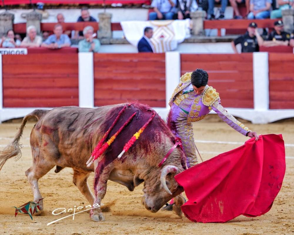 Imagen 11