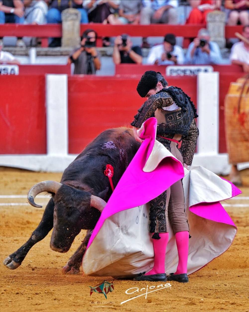 Imagen 15