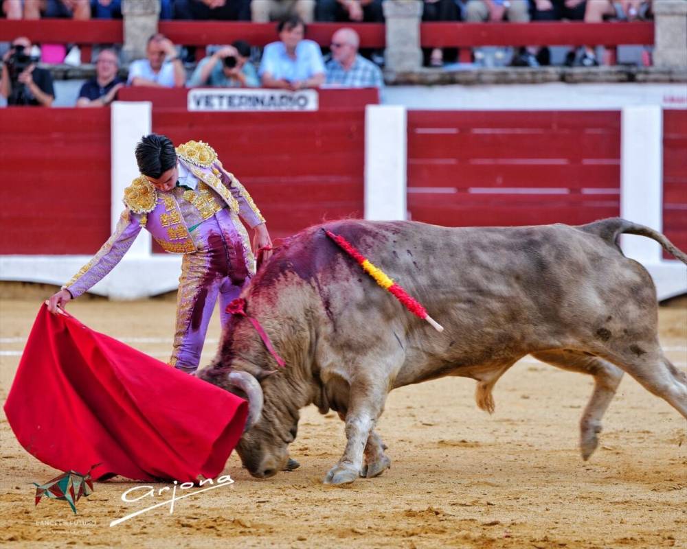 Imagen 12