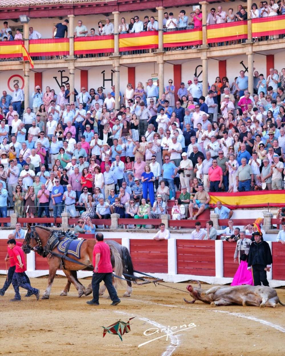 Imagen 16