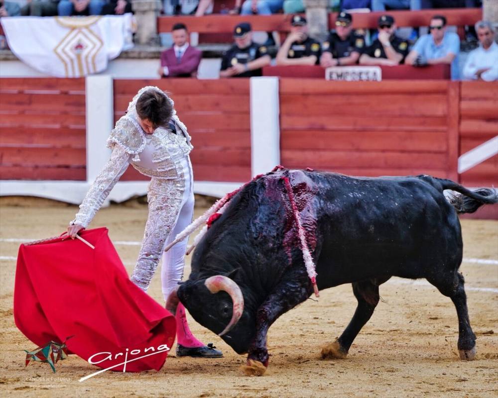 Imagen 10