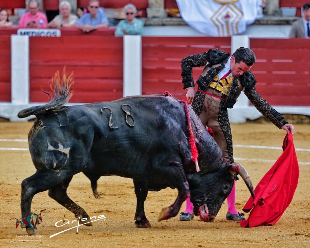 Imagen 5