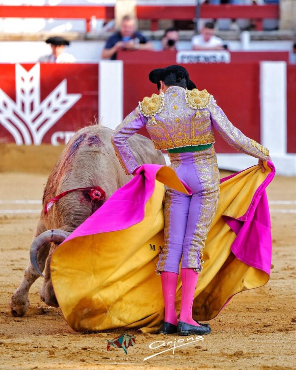Imagen 13