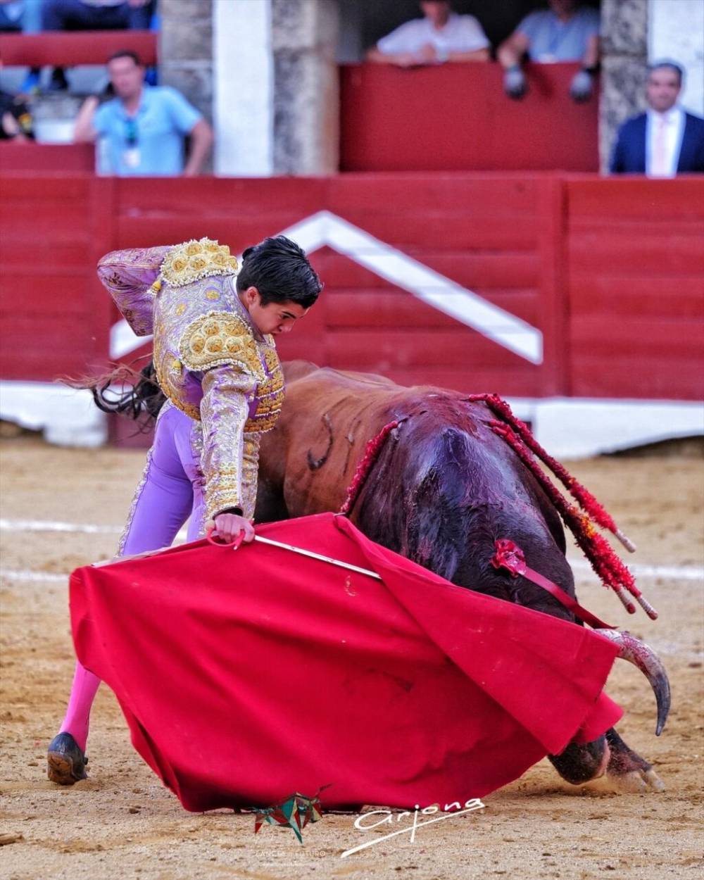 Imagen 20