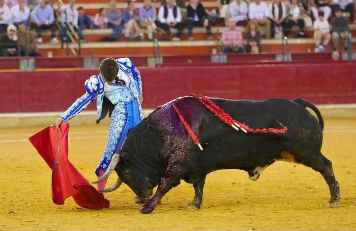 Imagen 1