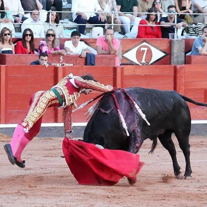 Imagen 4