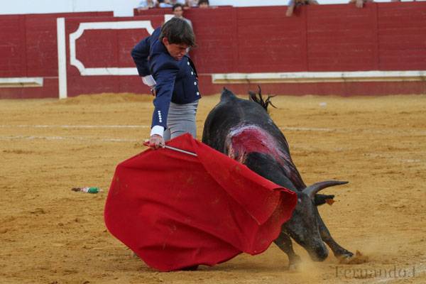 Imagen 3