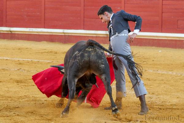 Imagen 6