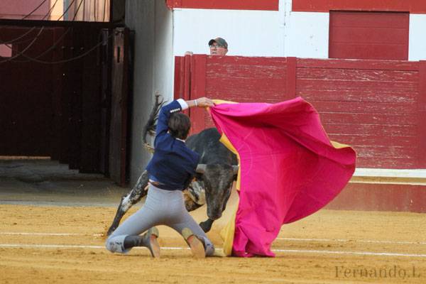Imagen 1