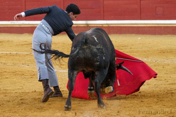 Imagen 15