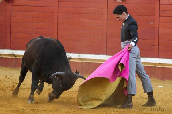 Imagen 23