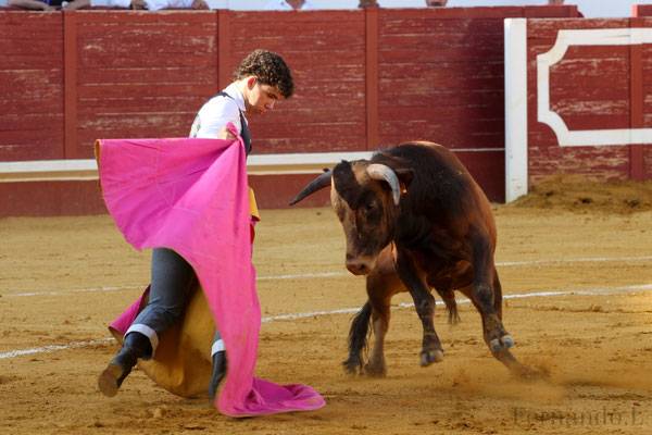 Imagen 11