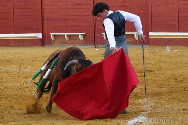 Imagen 14
