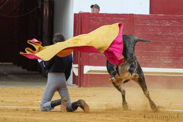 Imagen 10
