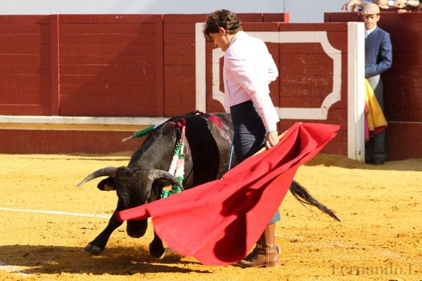 Imagen 12