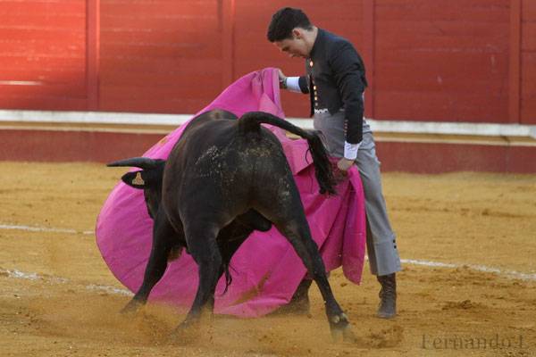 Imagen 20