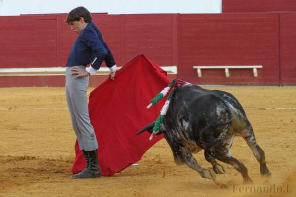 Imagen 13