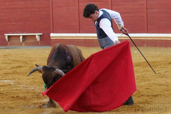 Imagen 8