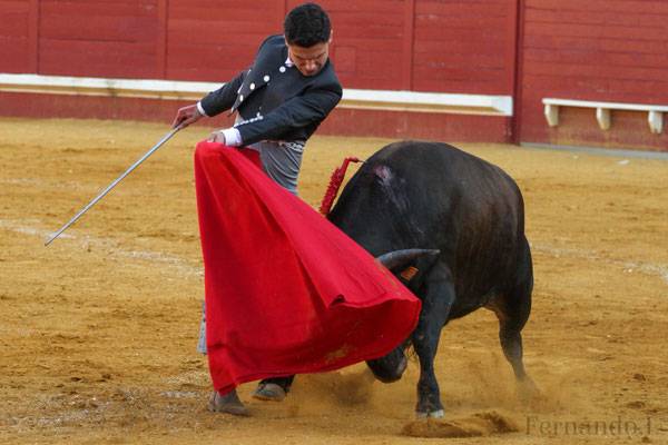 Imagen 16