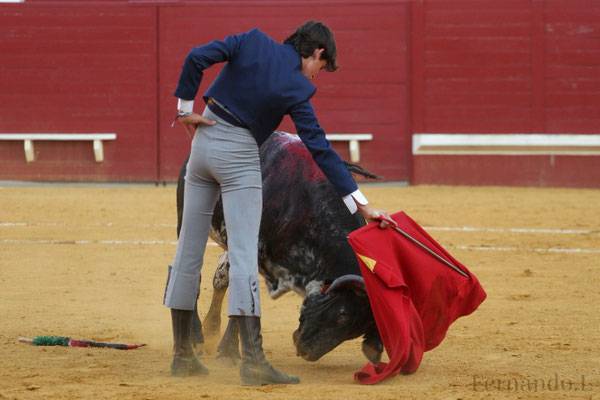 Imagen 19