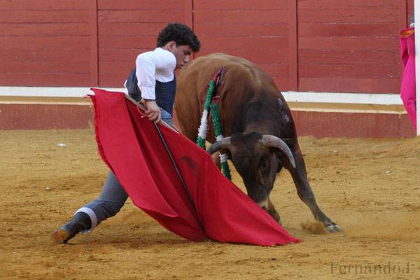Imagen 18