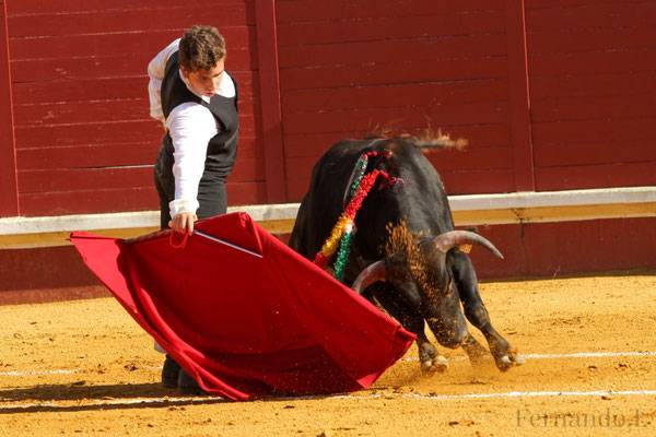 Imagen 9