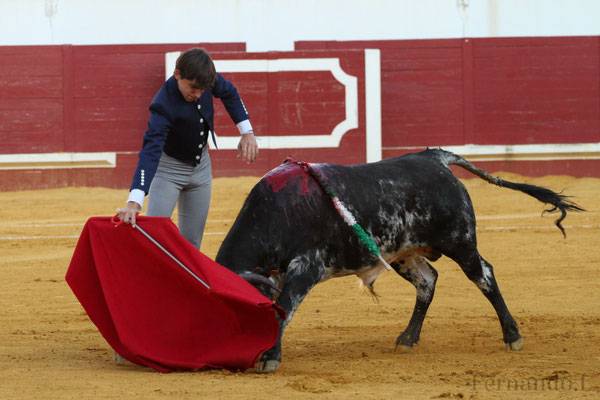 Imagen 22