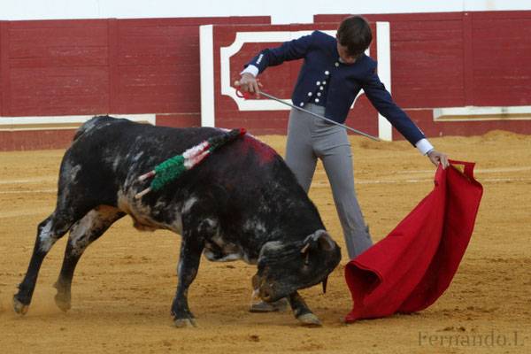 Imagen 21