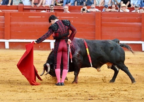 Imagen 6