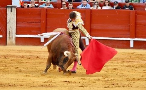 Imagen 3