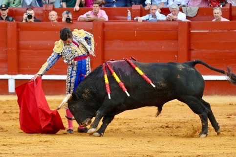 Imagen 12