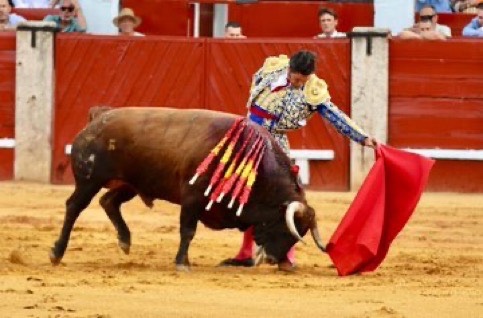 Imagen 2