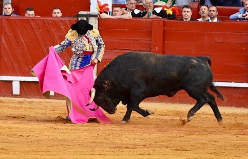 Imagen 10
