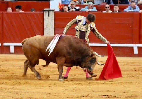 Imagen 4