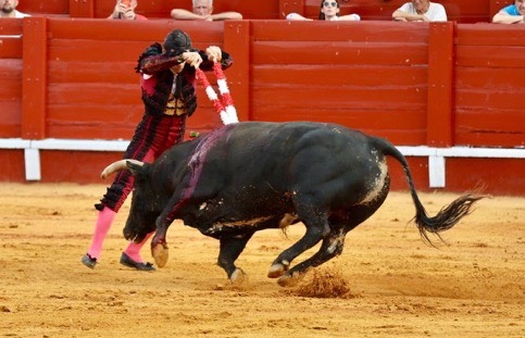 Imagen 8