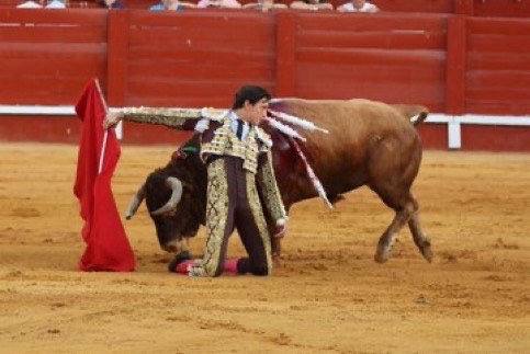 Imagen 14